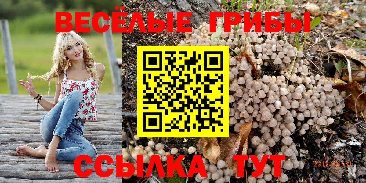 Псилоцибиновые грибы Cubensis Татарск