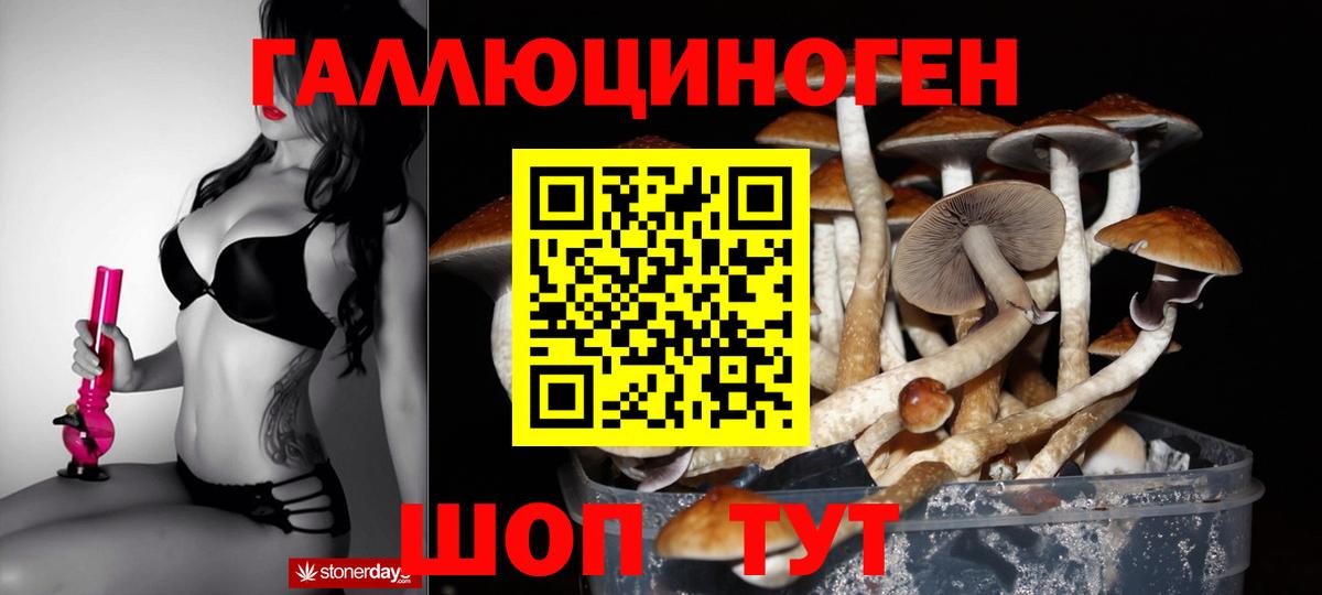 магазин  наркотиков  Вход с VPN  Татарск  Галлюциногенные грибы Cubensis 