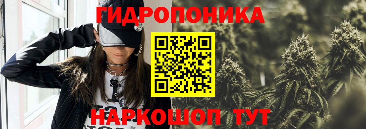 Канабис тримм  Марихуана гибрид  Татарск  Вход с VPN  МАРИХУАНА Bruce Banner  Бошки марихуана ГИДРОПОН 